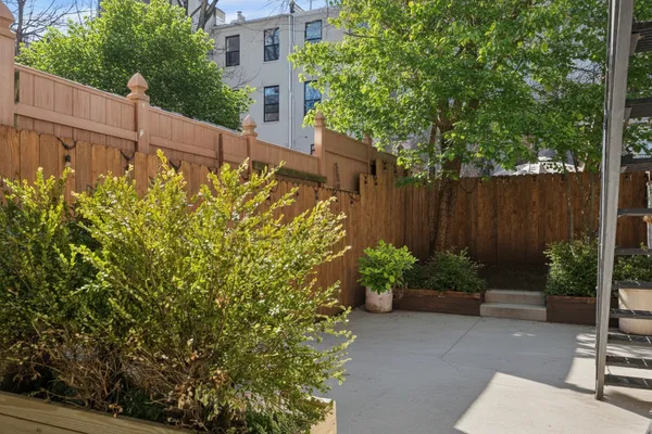 a view of a garden with plants