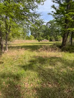 $15,000 | Lake Forest Drive, Livingston, TX 77351