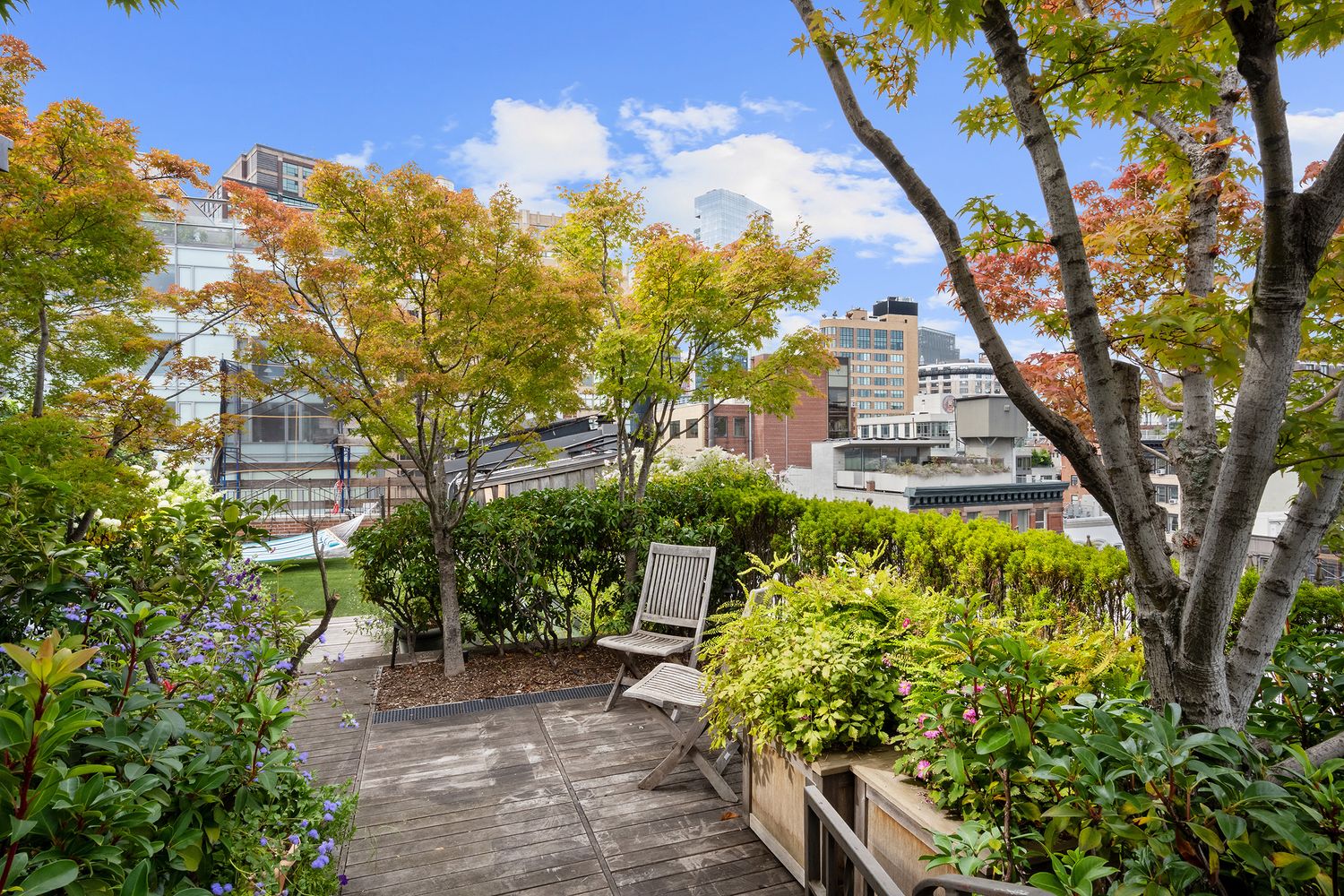 a view of a garden with an trees