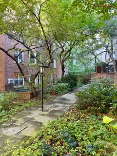 a view of a pathway with a tree