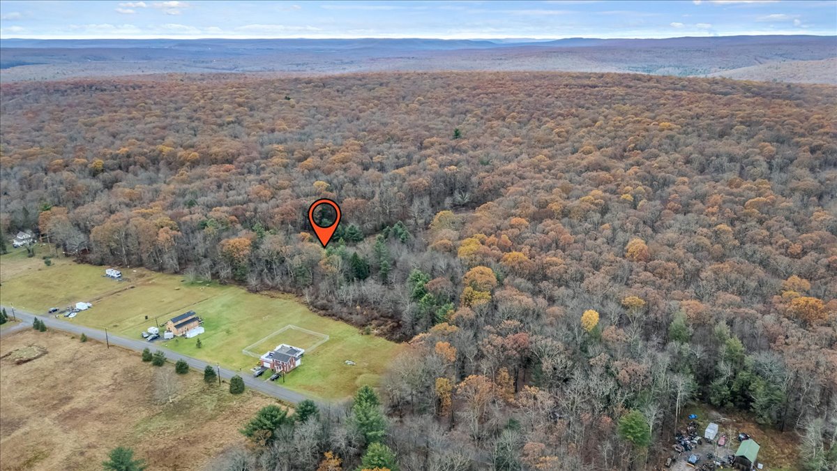 0 Laurel Road White Haven, PA 18661 - Photo 4 of 11