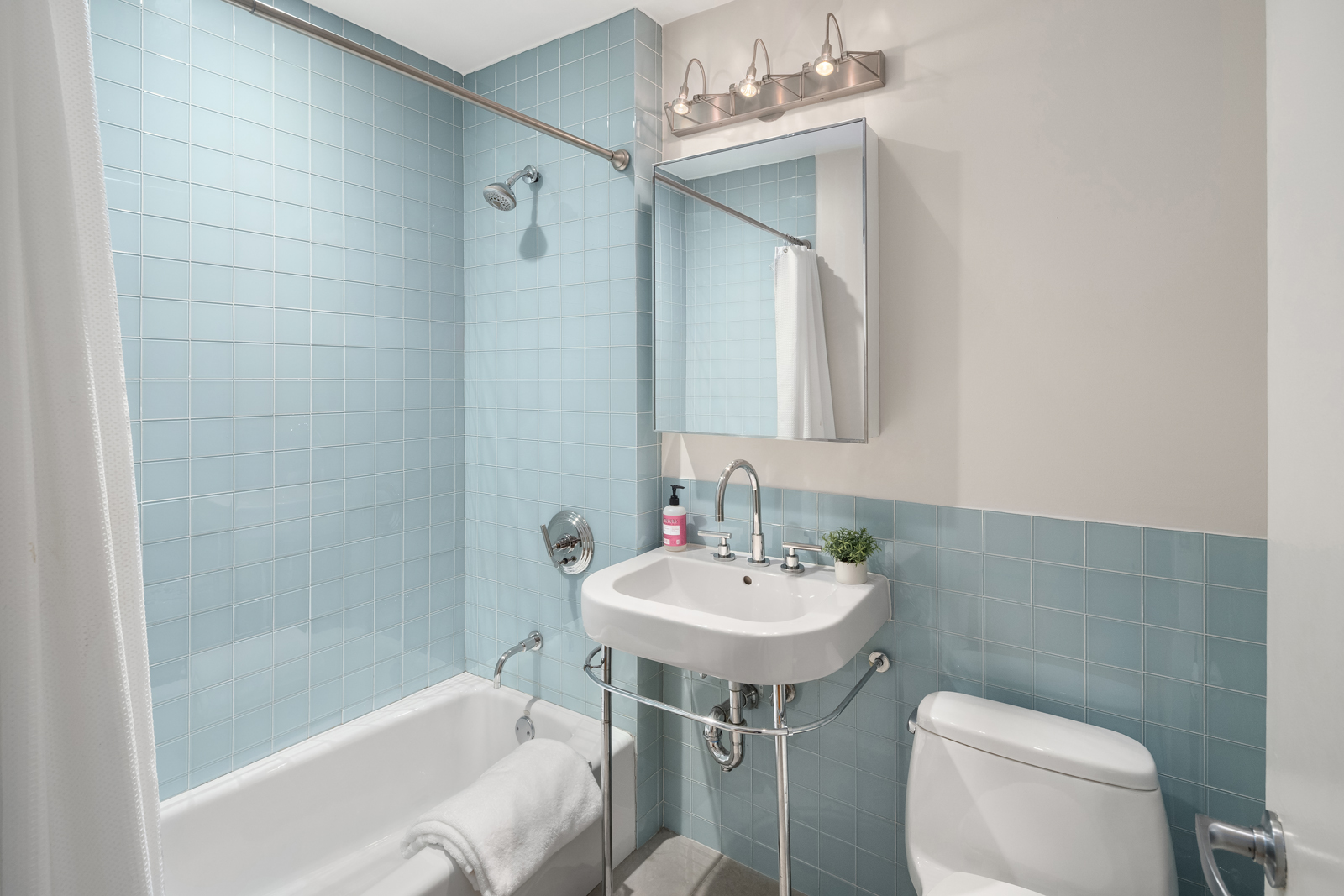 401 Hicks Street, Unit A3I Brooklyn, NY 11201 - Photo 13 of 16 a bathroom with a sink a toilet and shower