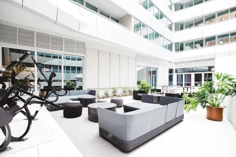 a living room with furniture potted plant and plants