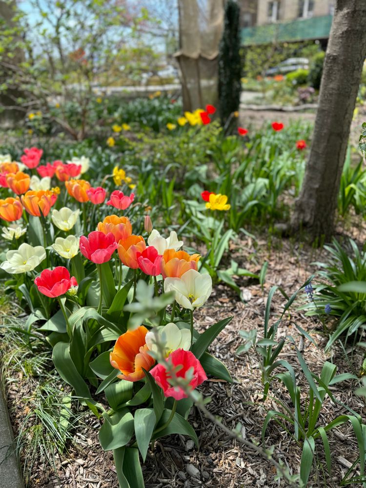 800 Riverside Drive, Unit 2E Manhattan, NY 10032 - Photo 24 of 27