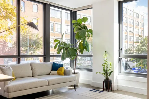 a living room filled with furniture and a potted plant
