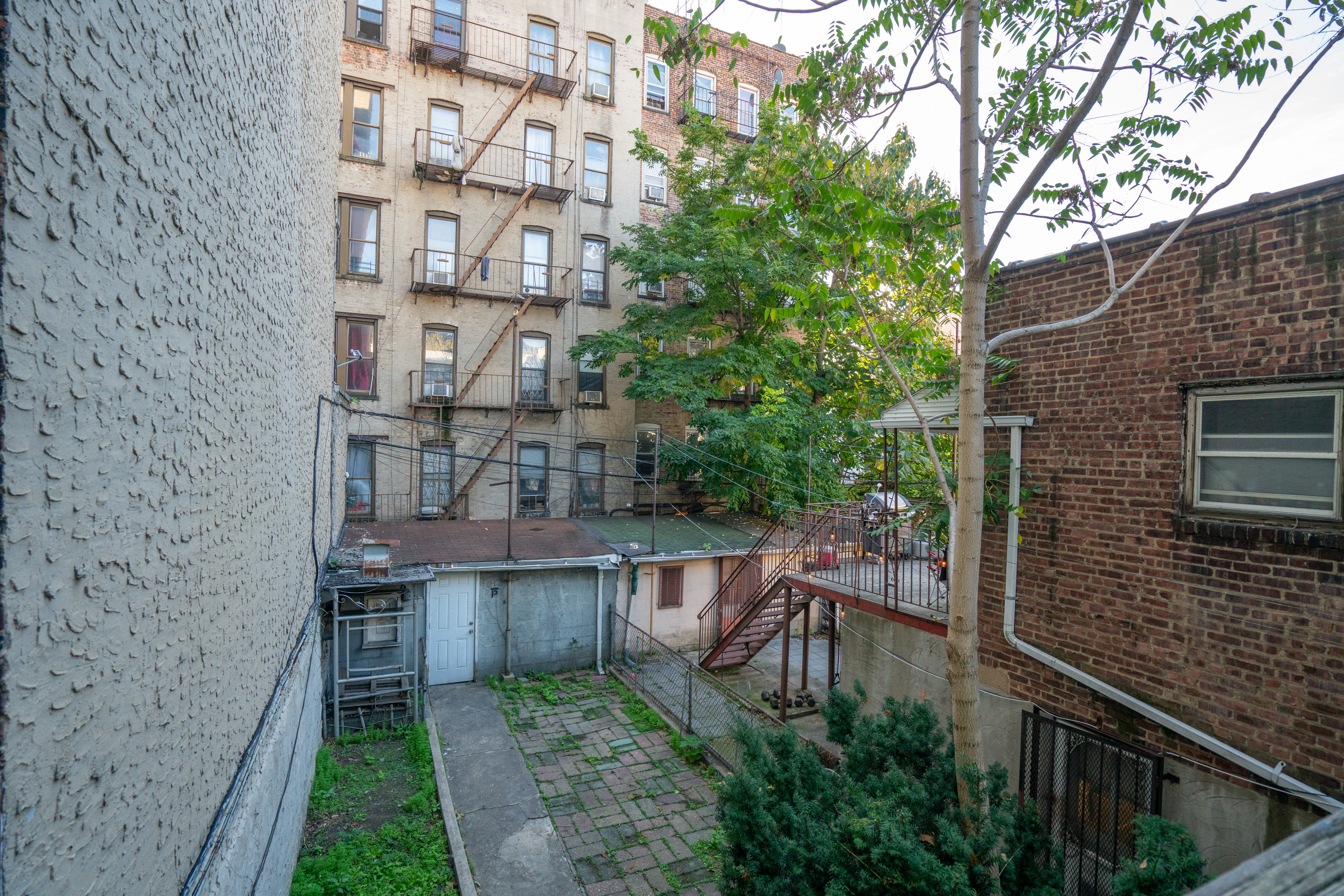 2396 Lorillard Place Bronx, NY 10458 - Photo 16 of 19