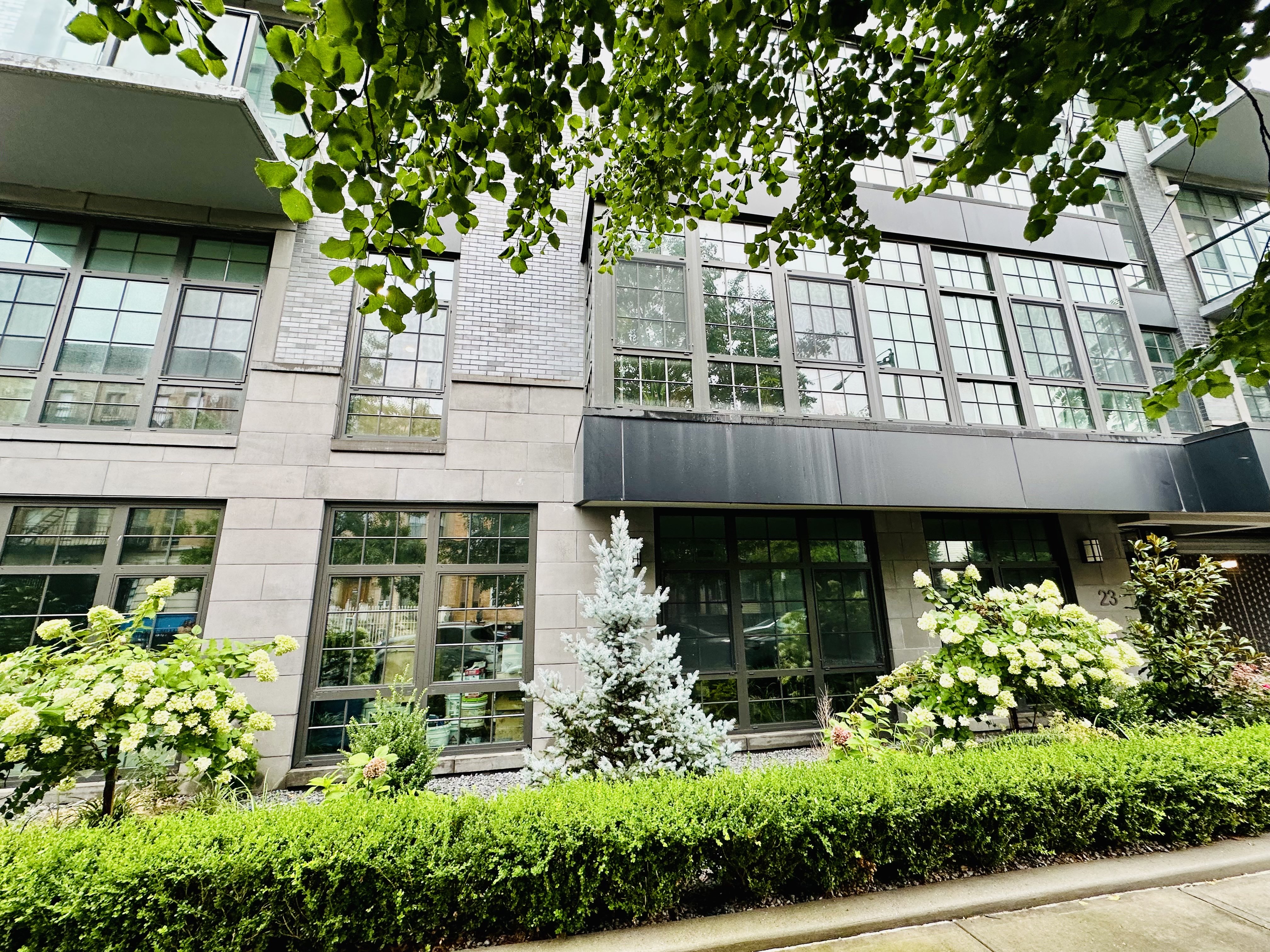 23 Bleecker Street, Unit 4E Brooklyn, NY 11221 - Photo 10 of 11 a view of a garden with a tree