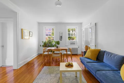 a living room with furniture and a potted plant