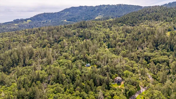 a view of a lush green field with mountains in the background