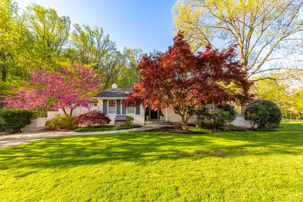 a view of a backyard with large trees