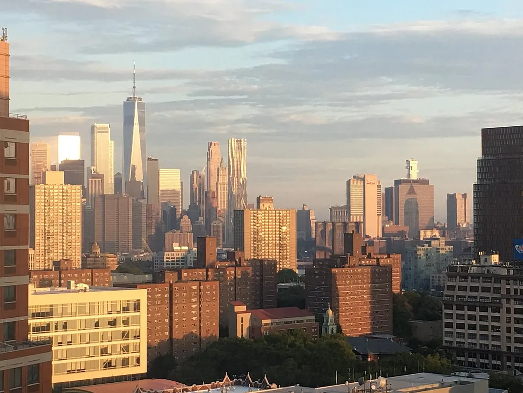 150 Myrtle Avenue, Unit 2302 Brooklyn, NY 11201 - Photo 11 of 28 a city view with tall buildings
