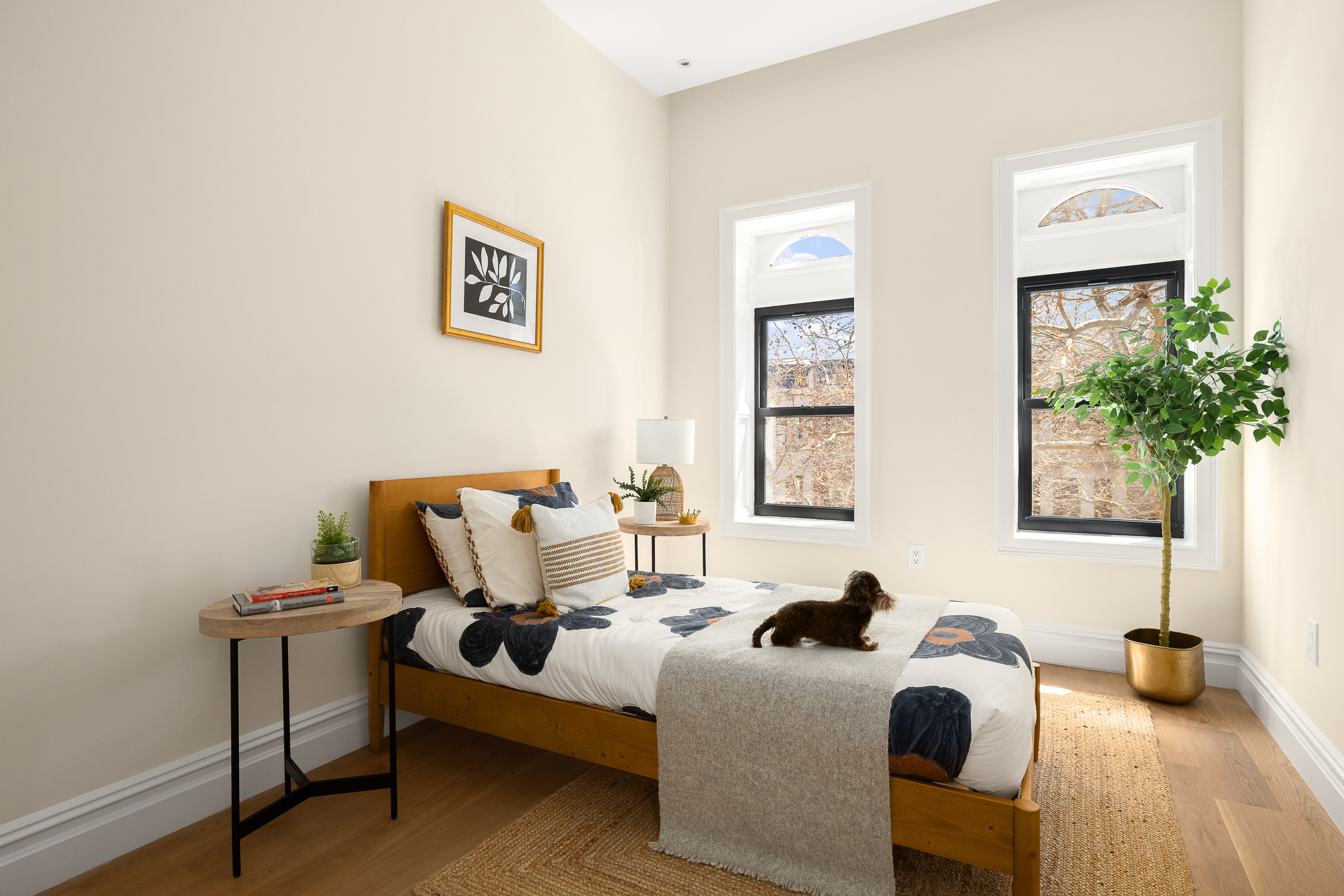 809 Lincoln Place Brooklyn, NY 11216 - Photo 12 of 20 a living room with furniture and a potted plant