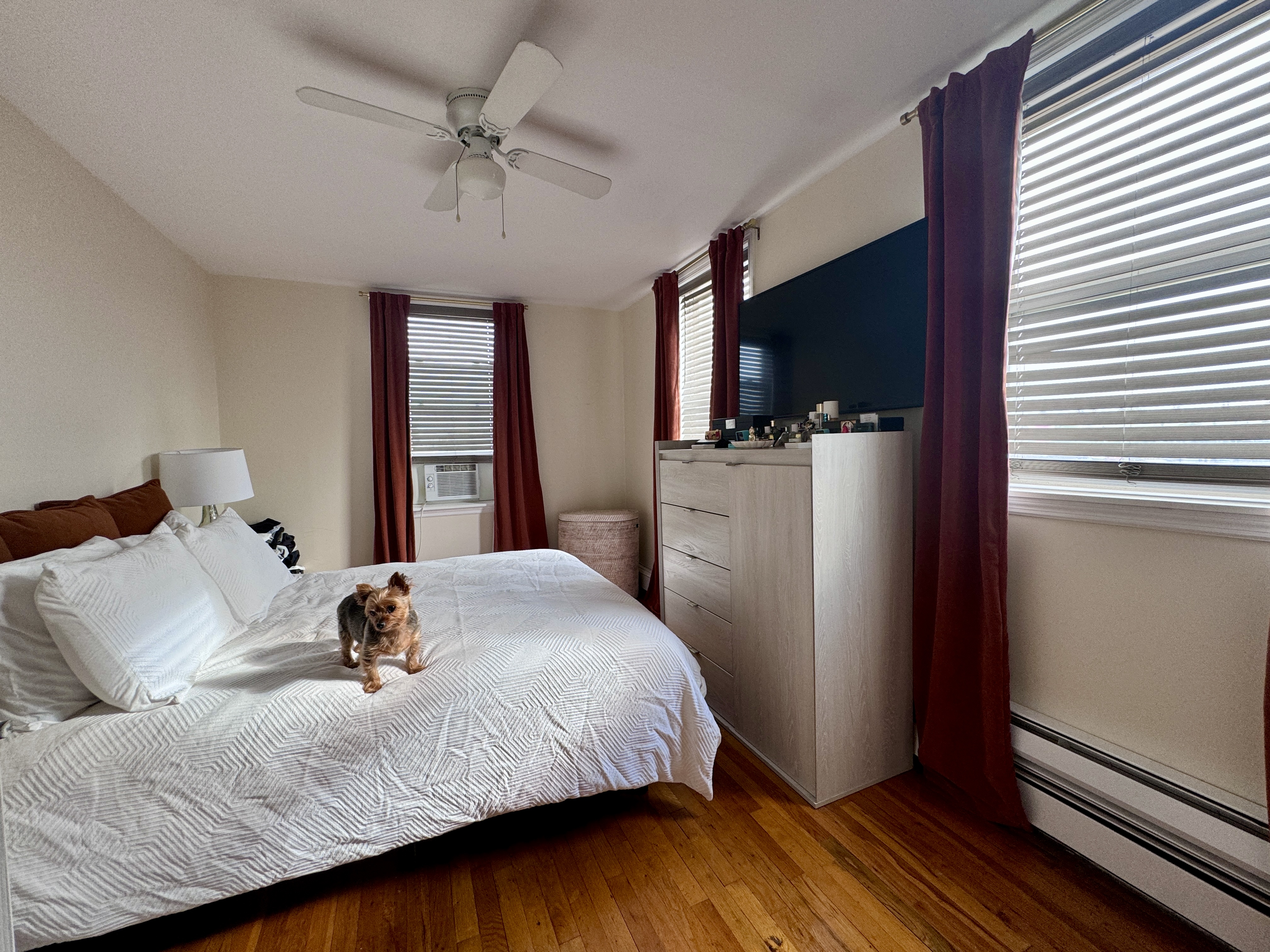 4 Gotham Avenue, Unit 2 Brooklyn, NY 11229 - Photo 5 of 6 a bedroom with a bed dresser and a window