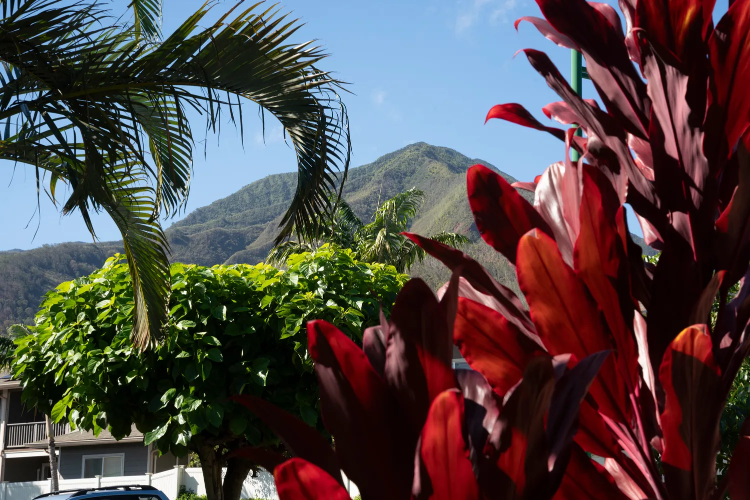 $975,000 | 223 Lau Oliwa Loop, Unit 38, Wailuku, HI 96793