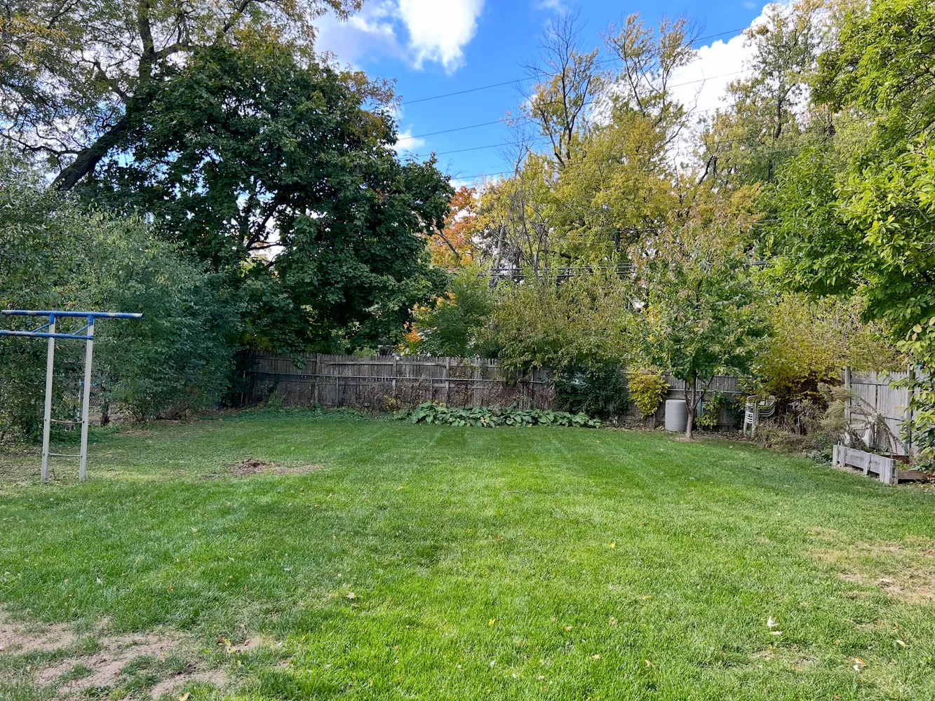 a backyard of a house with plants and large trees
