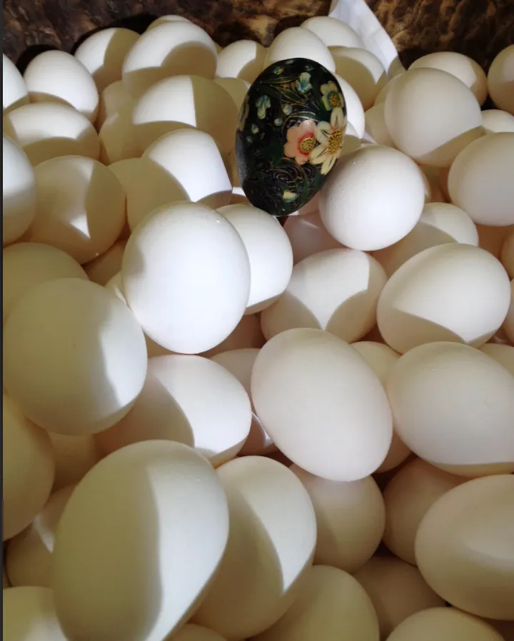 $361,000 | 1454 Grant Avenue, San Francisco, CA 94133