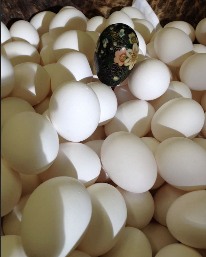 1454 Grant Avenue San Francisco, CA 94133 - Photo 34 of 34 a bathroom with a mirror and vanity