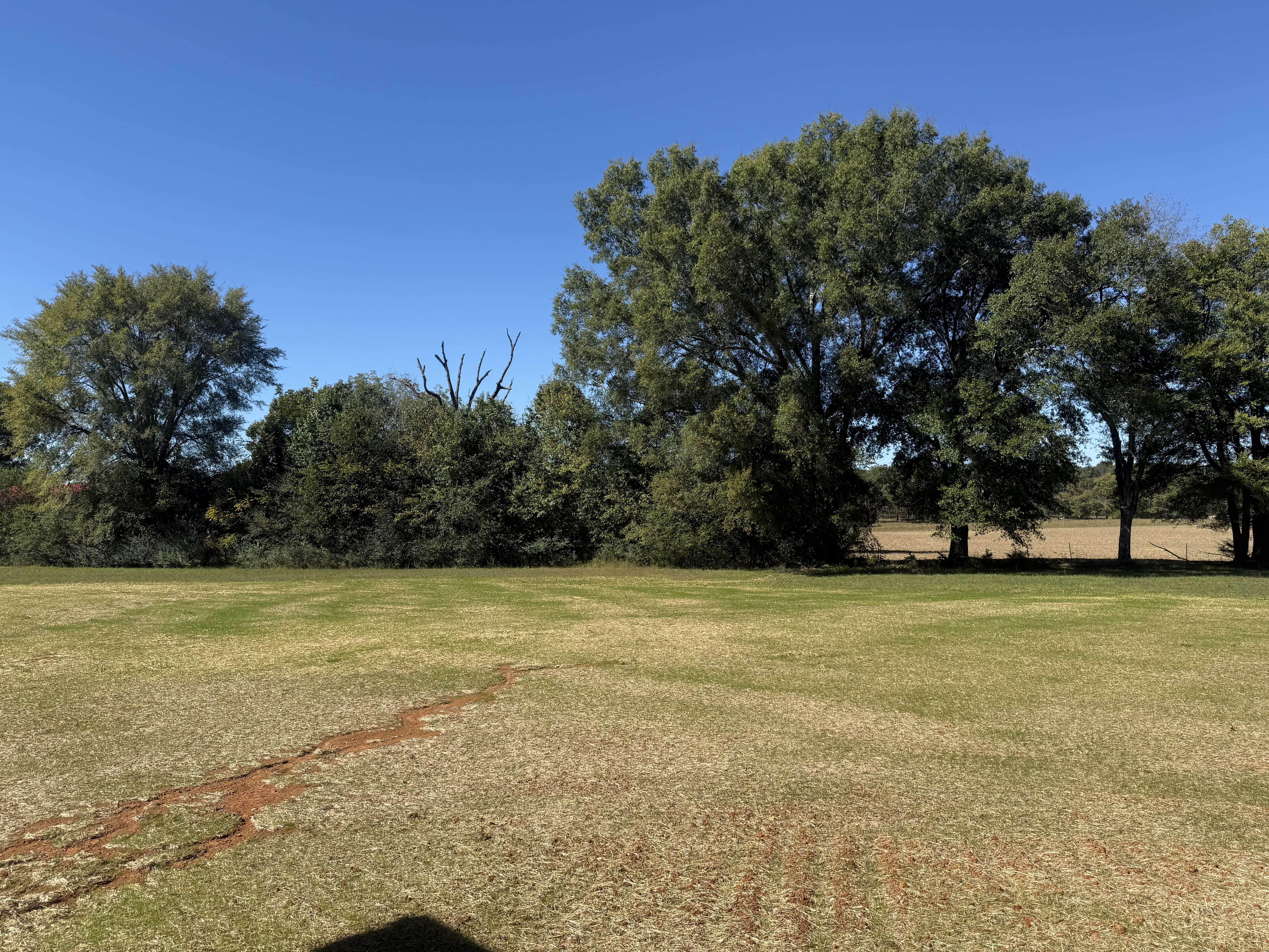 517 Paynes Church Road Estill Springs, TN 37330 - Photo 32 of 32 a view of a field with trees in background