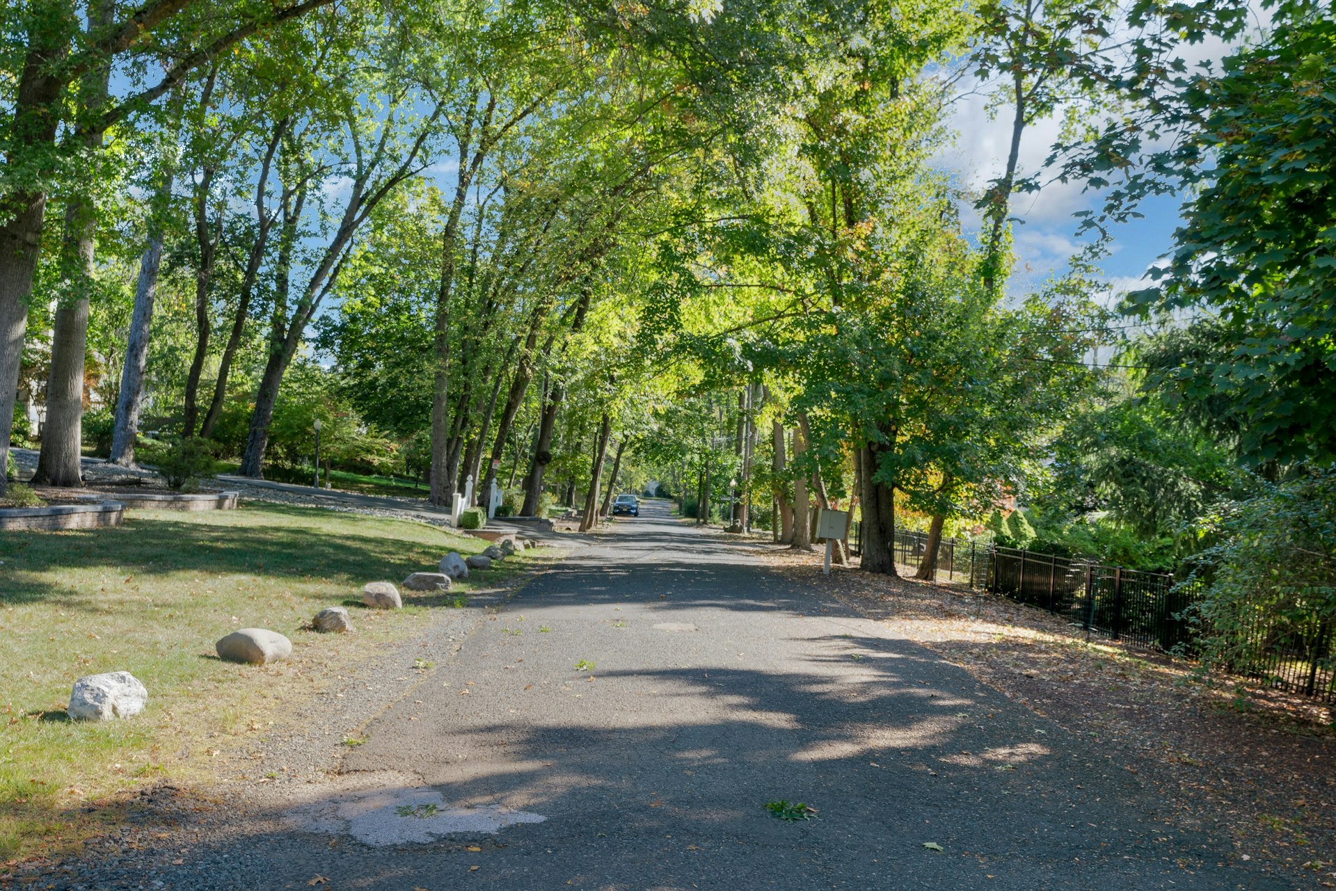 29 Evergreen Lane Watchung, NJ 07069 - Photo 54 of 54 a view of a yard with a tree