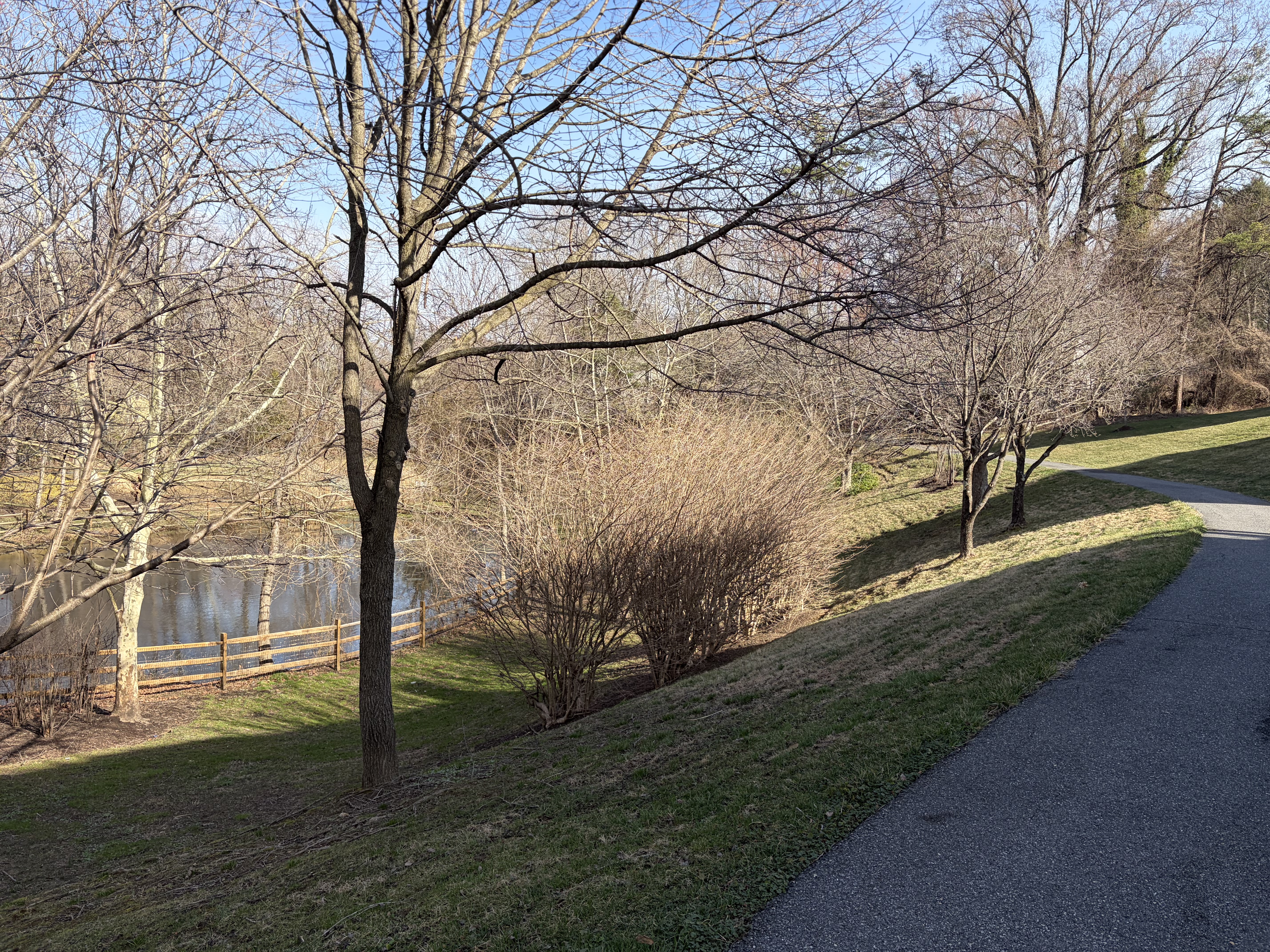 8512 Bells Ridge Terrace Potomac, MD 20854 - Photo 43 of 49