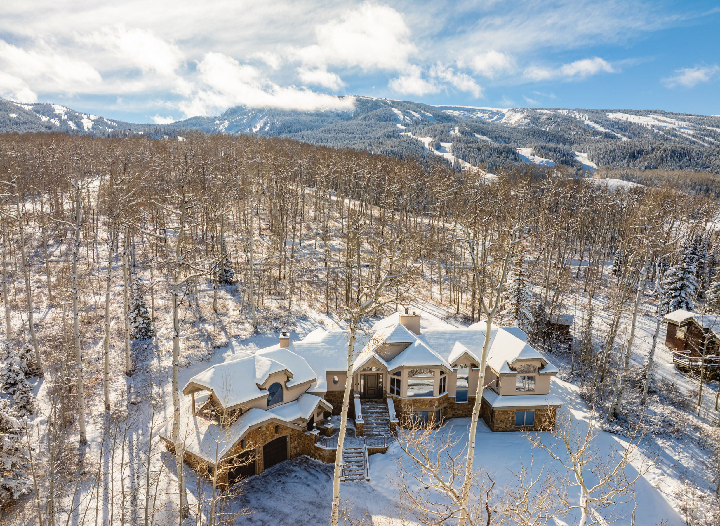 141 Baby Doe Lane Snowmass Village, CO 81615 - Photo 1 of 11