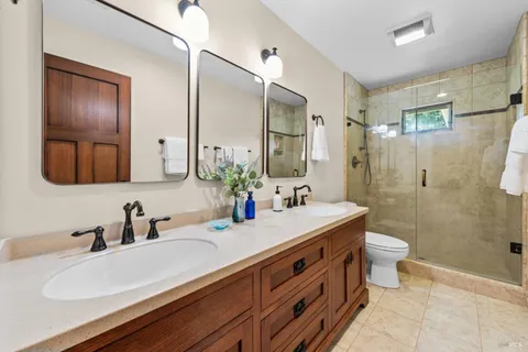 a view of a park with large trees