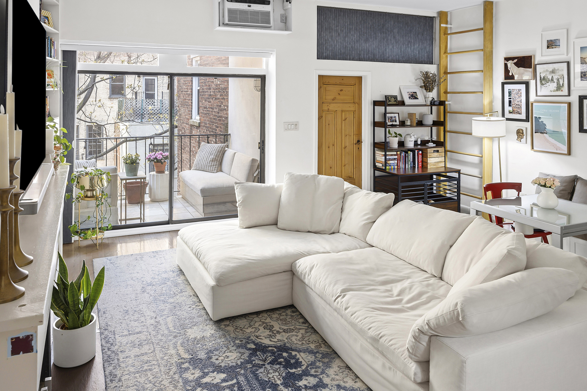 a living room with furniture and a potted plant