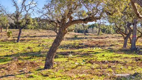 Contact Agent | 1902 Patriot Drive, Lago Vista, TX 78645