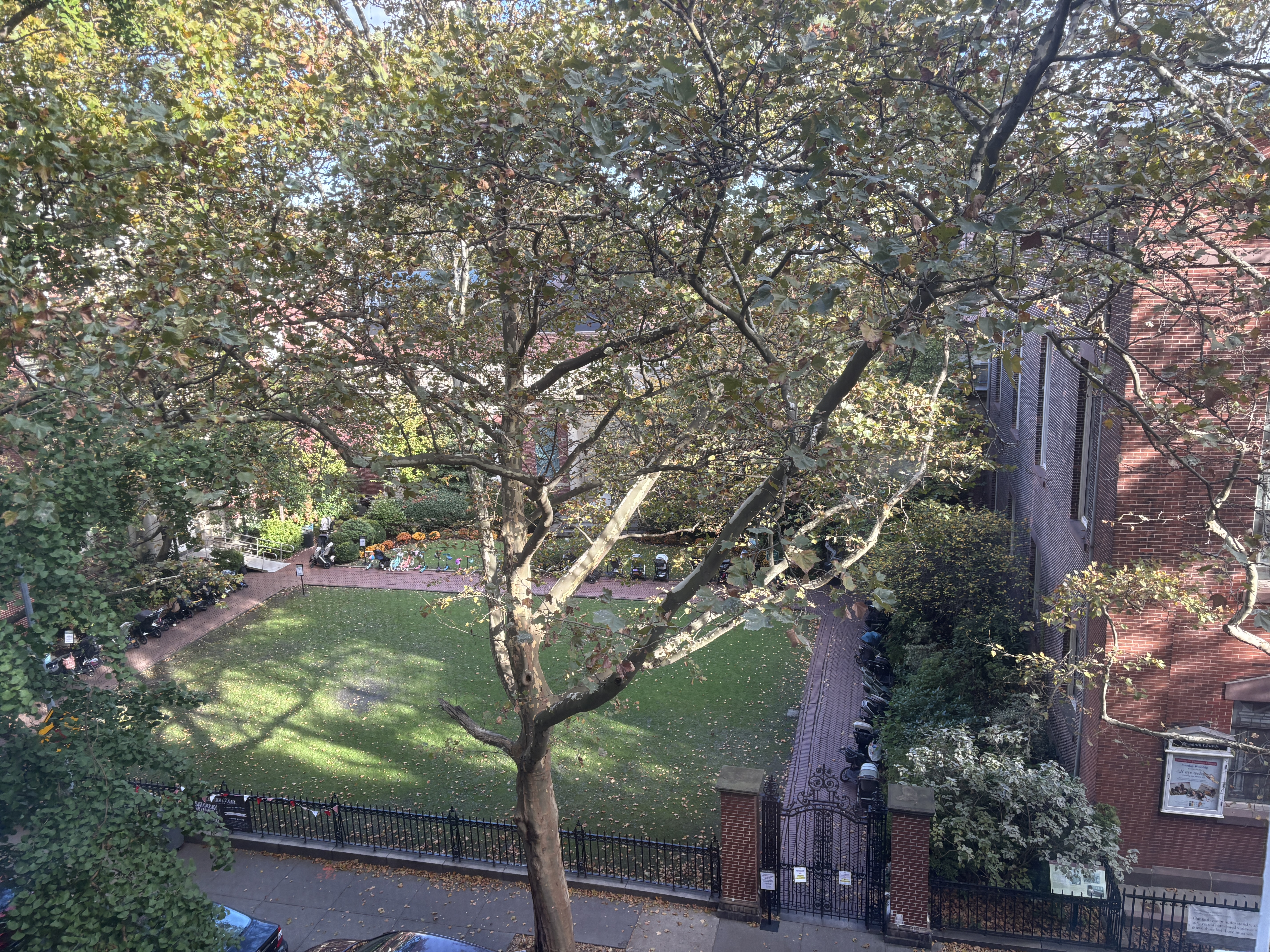 54 Orange Street, Unit 4D Brooklyn, NY 11201 - Photo 5 of 10 a picture of tree