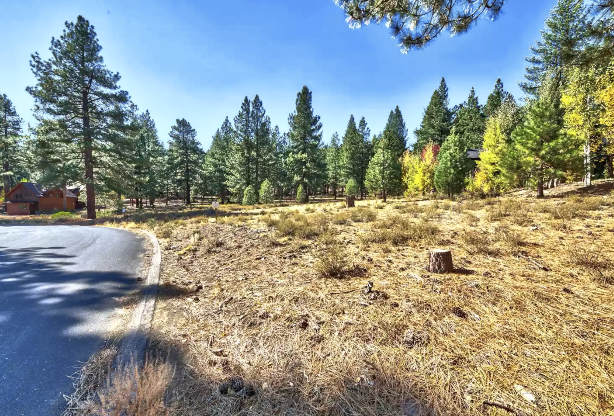 11670 Bottcher Loop Truckee, CA 96161 - Photo 5 of 16