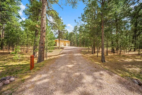 $1,200,000 | 4235 Slash Pine Drive, Colorado Springs, CO 80908