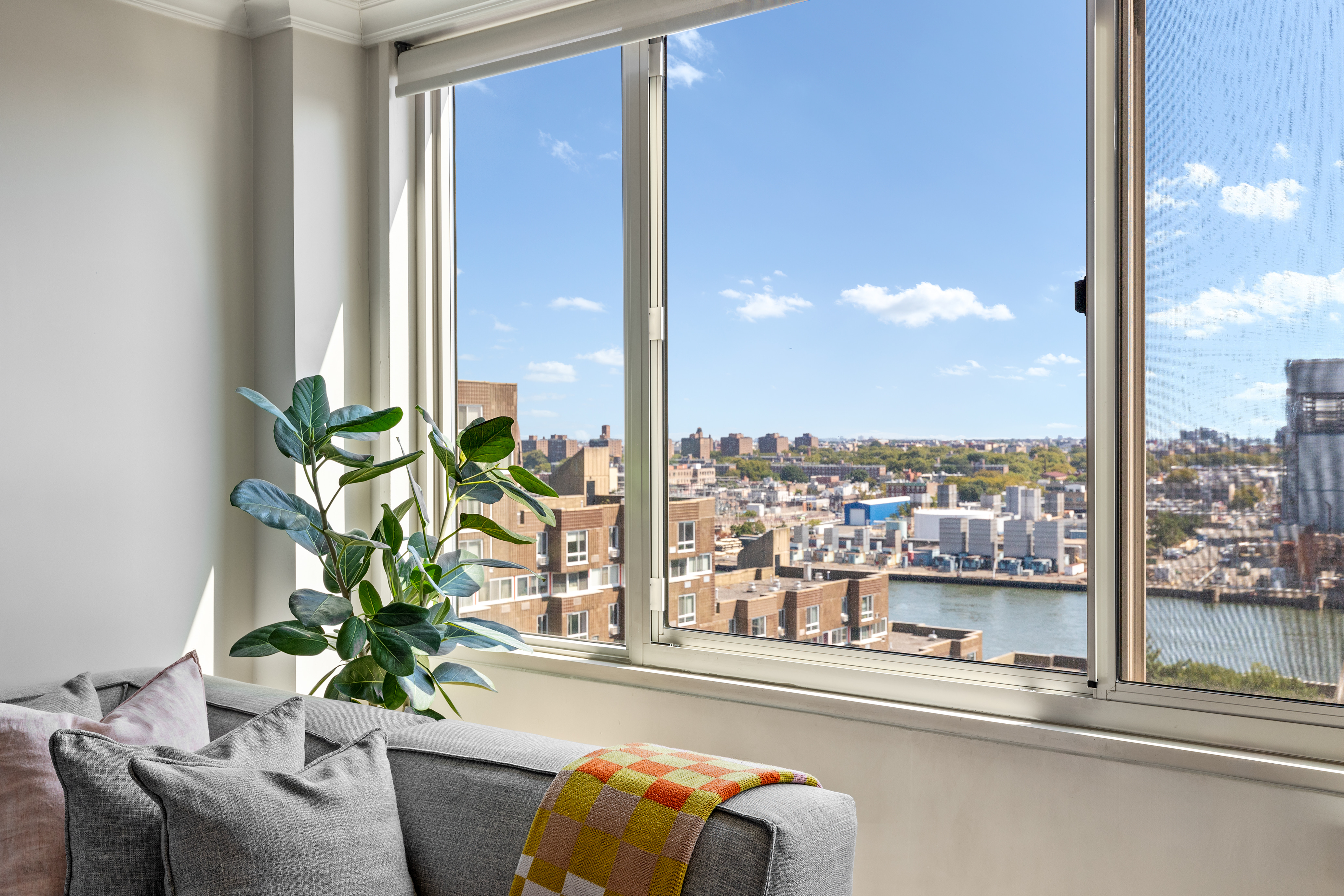 575 Main Street, Unit 1312 Manhattan, NY 10044 - Photo 2 of 25 a living room with furniture and a potted plant