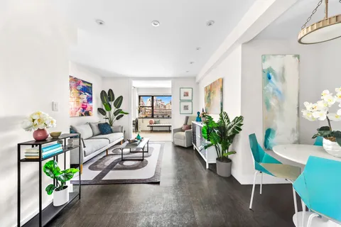 a living room with furniture potted plant and a window