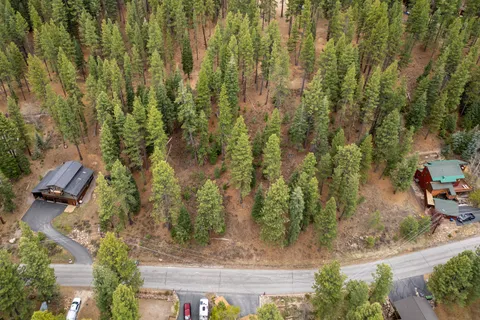 a view of a yard with trees
