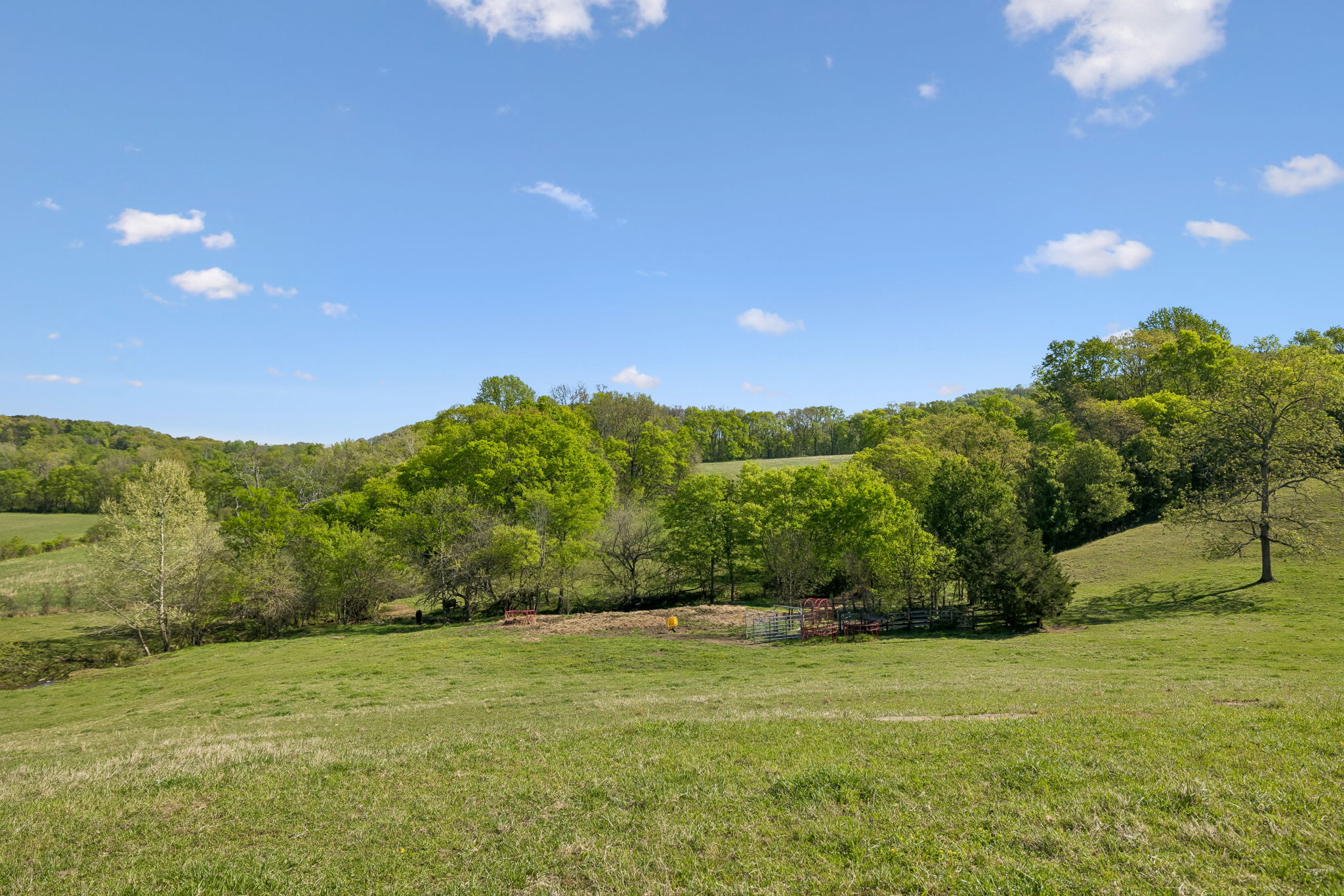 Undisclosed Address College Grove, TN 37046 - Photo 23 of 24 a view of a big yard with an outdoor space and seating