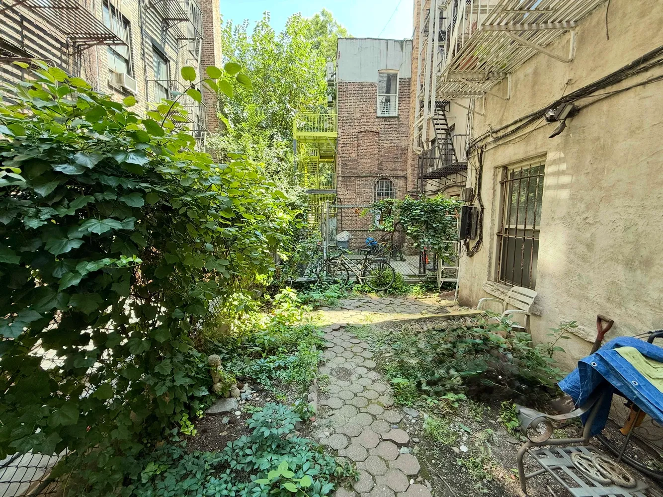 a view of a backyard with plants