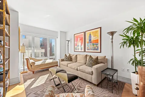 a living room with furniture and a potted plant
