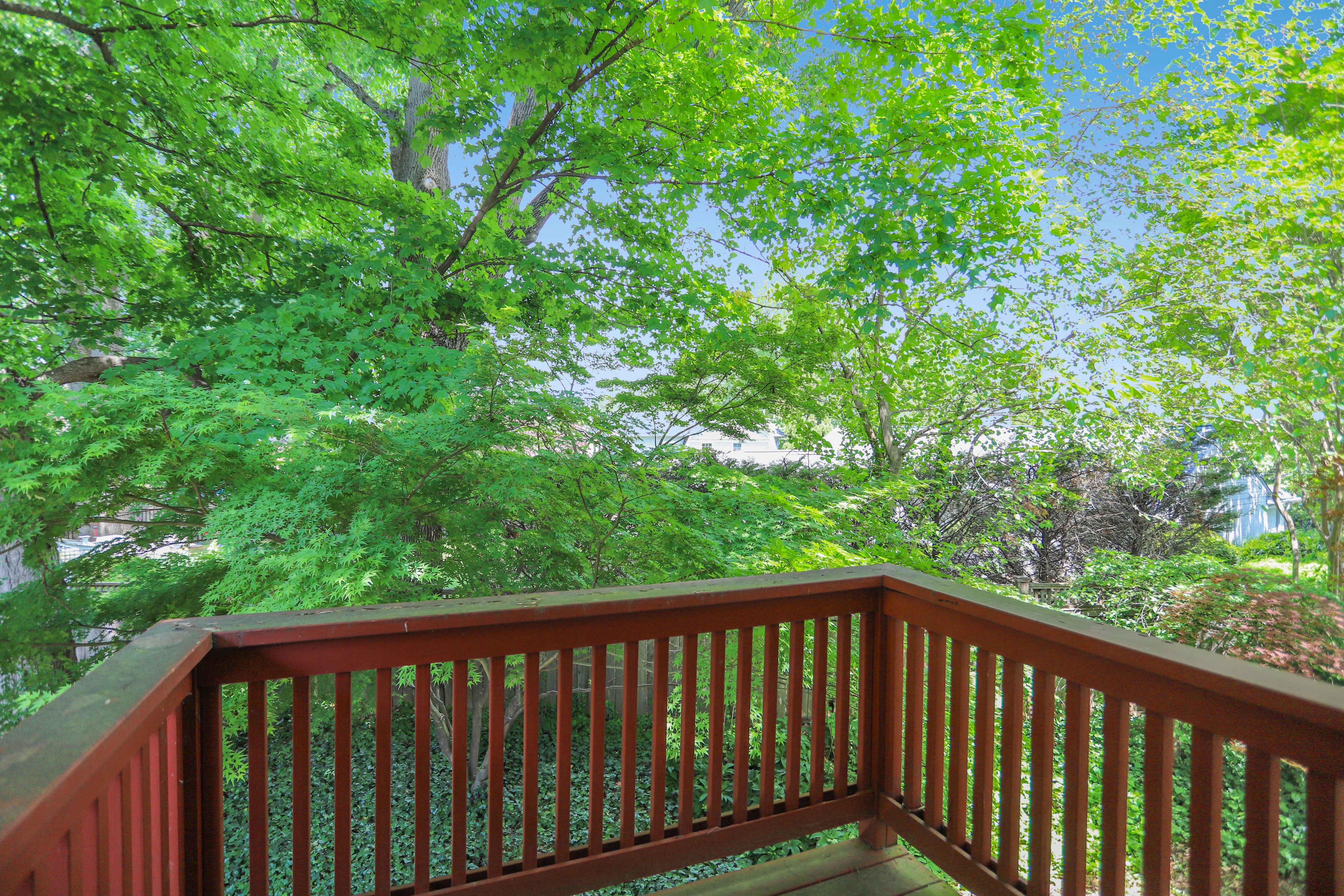 7903 Curtis Street Chevy Chase, MD 20815 - Photo 45 of 49