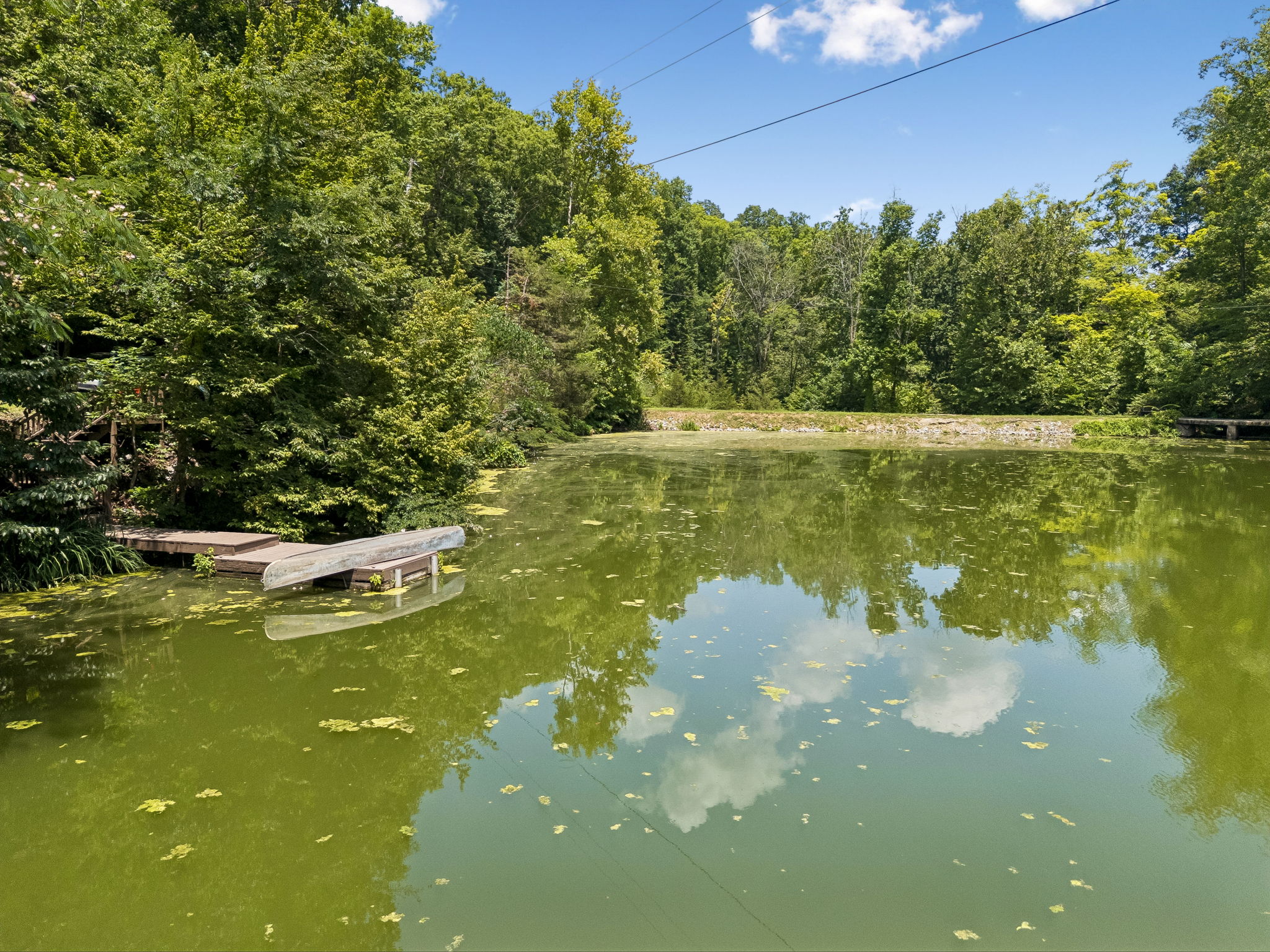 7941 Fernvale Road Fairview, TN 37062 - Photo 52 of 62