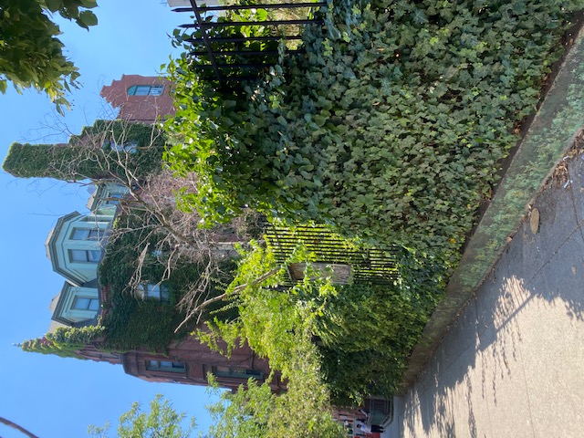 625 East 6th Street, Unit 3 Manhattan, NY 10009 - Photo 15 of 20