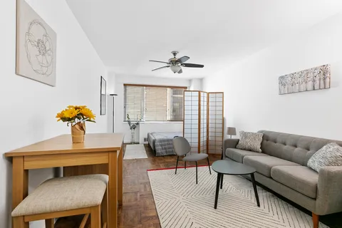 a living room with furniture and a potted plant