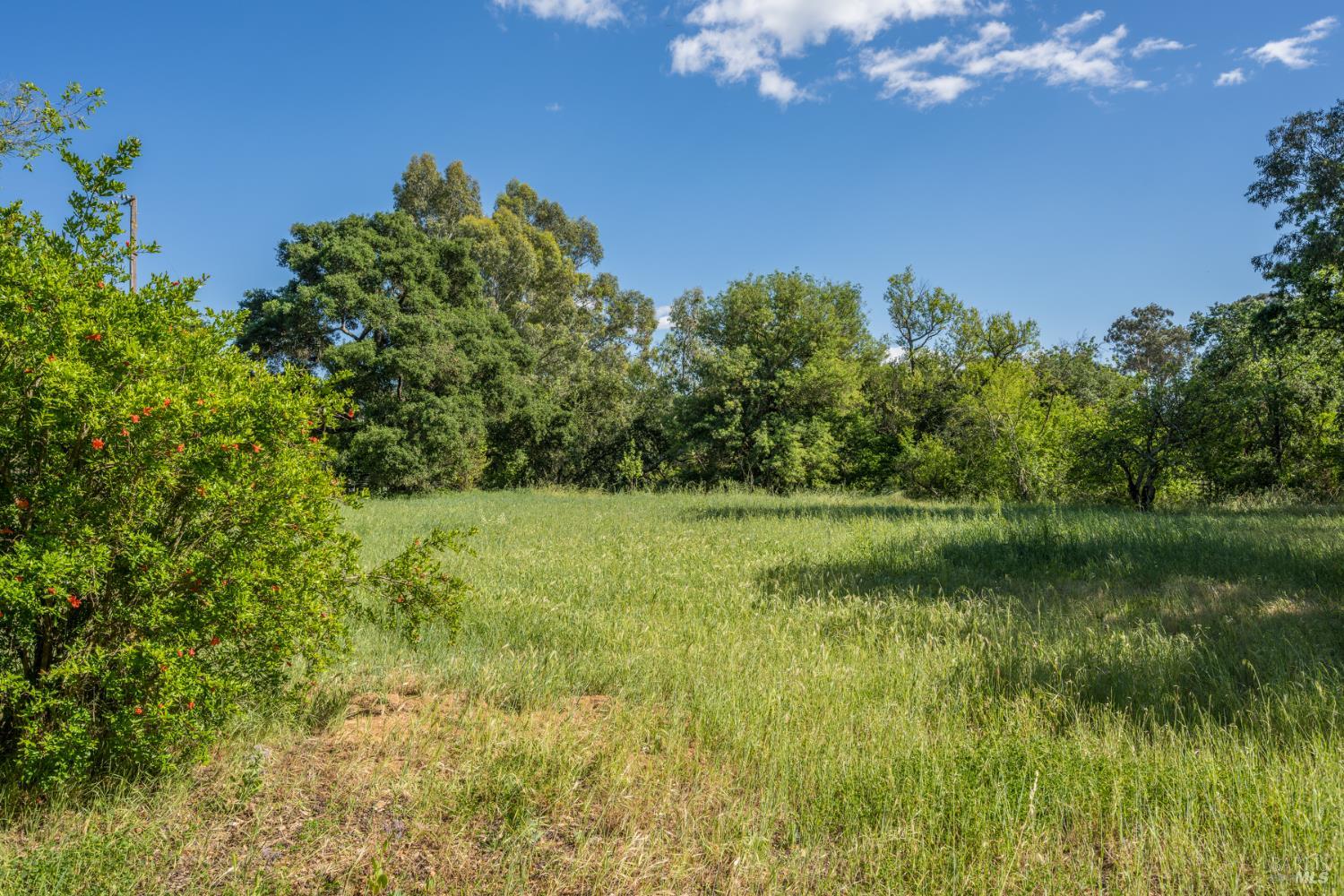 18320-18330 Carriger Road Sonoma, CA 95476 - Photo 34 of 46