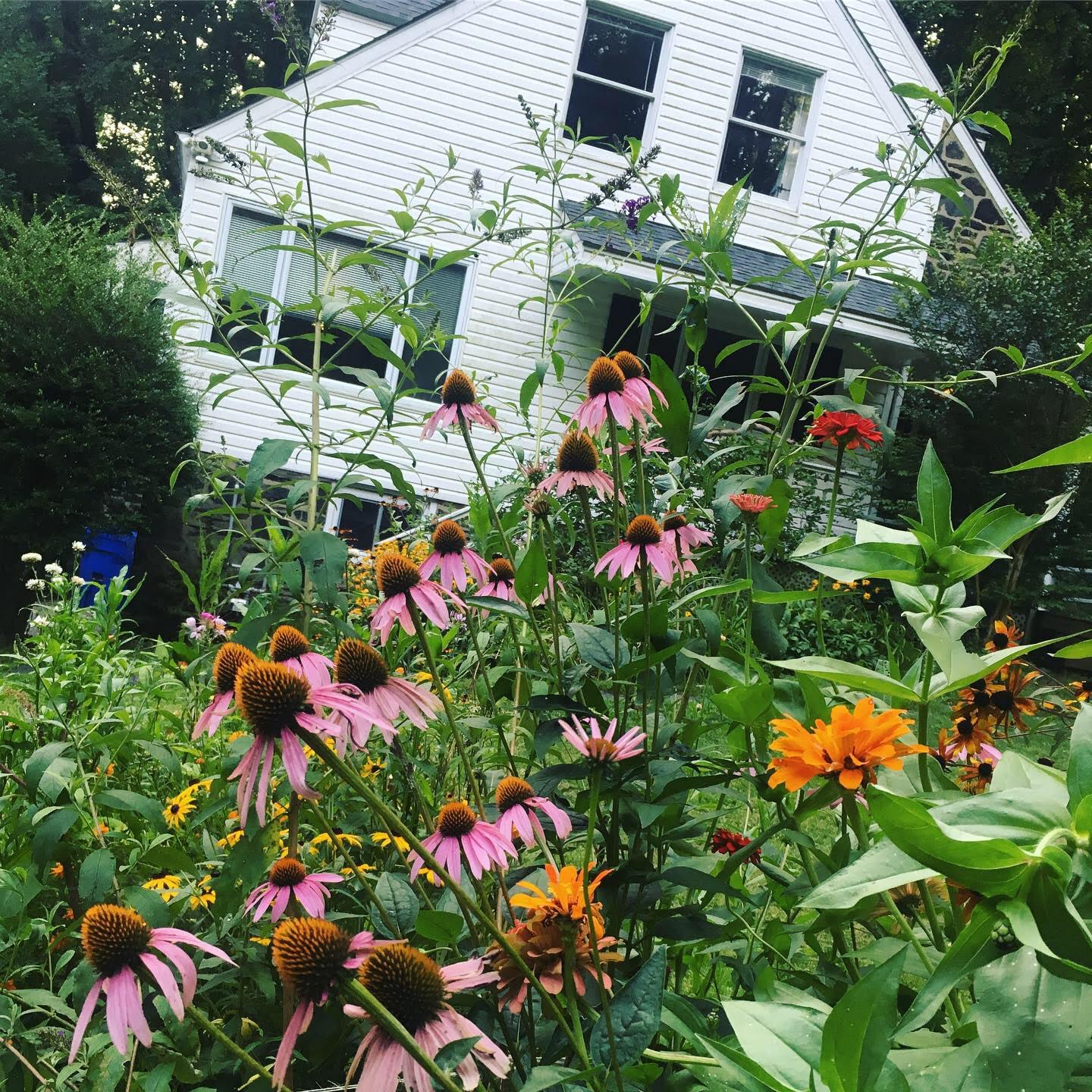 1 Brookside Road Wallingford, PA 19086 - Photo 3 of 15