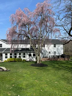 $1,275,000 | Undisclosed, Buckingham, PA 18902