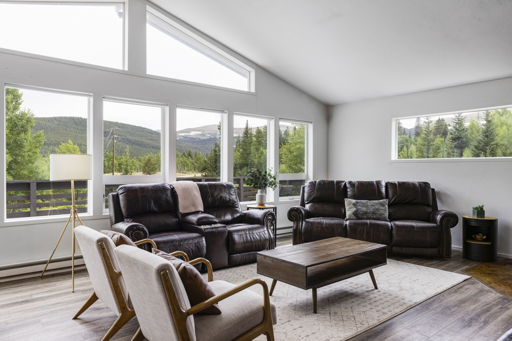 133 Gold Run Road Alma, CO 80420 - Photo 2 of 46 a living room with furniture and a floor to ceiling window