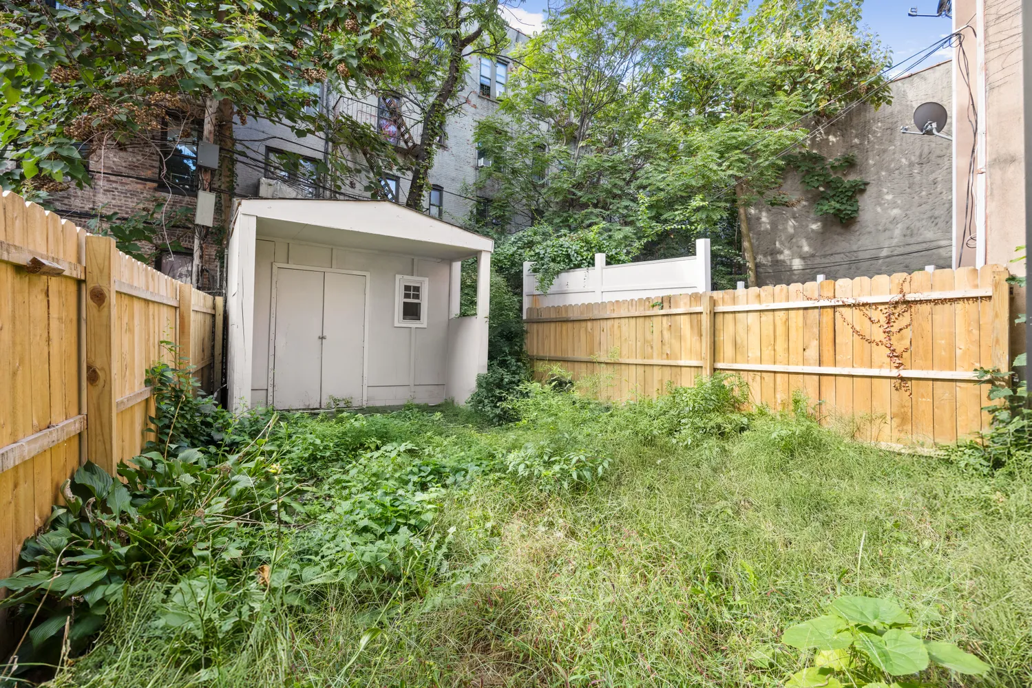 a view of a backyard with potted plants and large tree