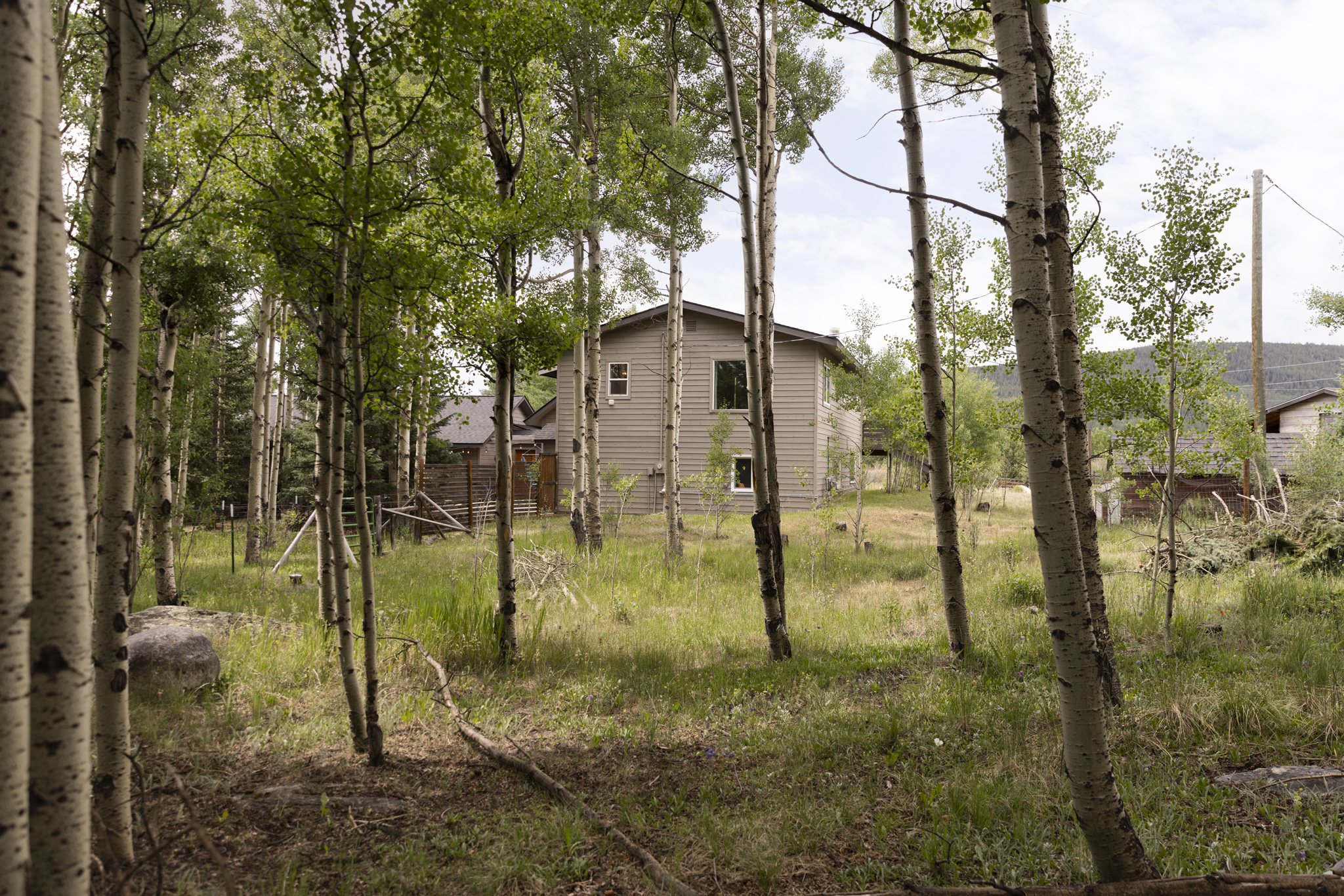 133 Gold Run Road Alma, CO 80420 - Photo 37 of 46 a view of a garden