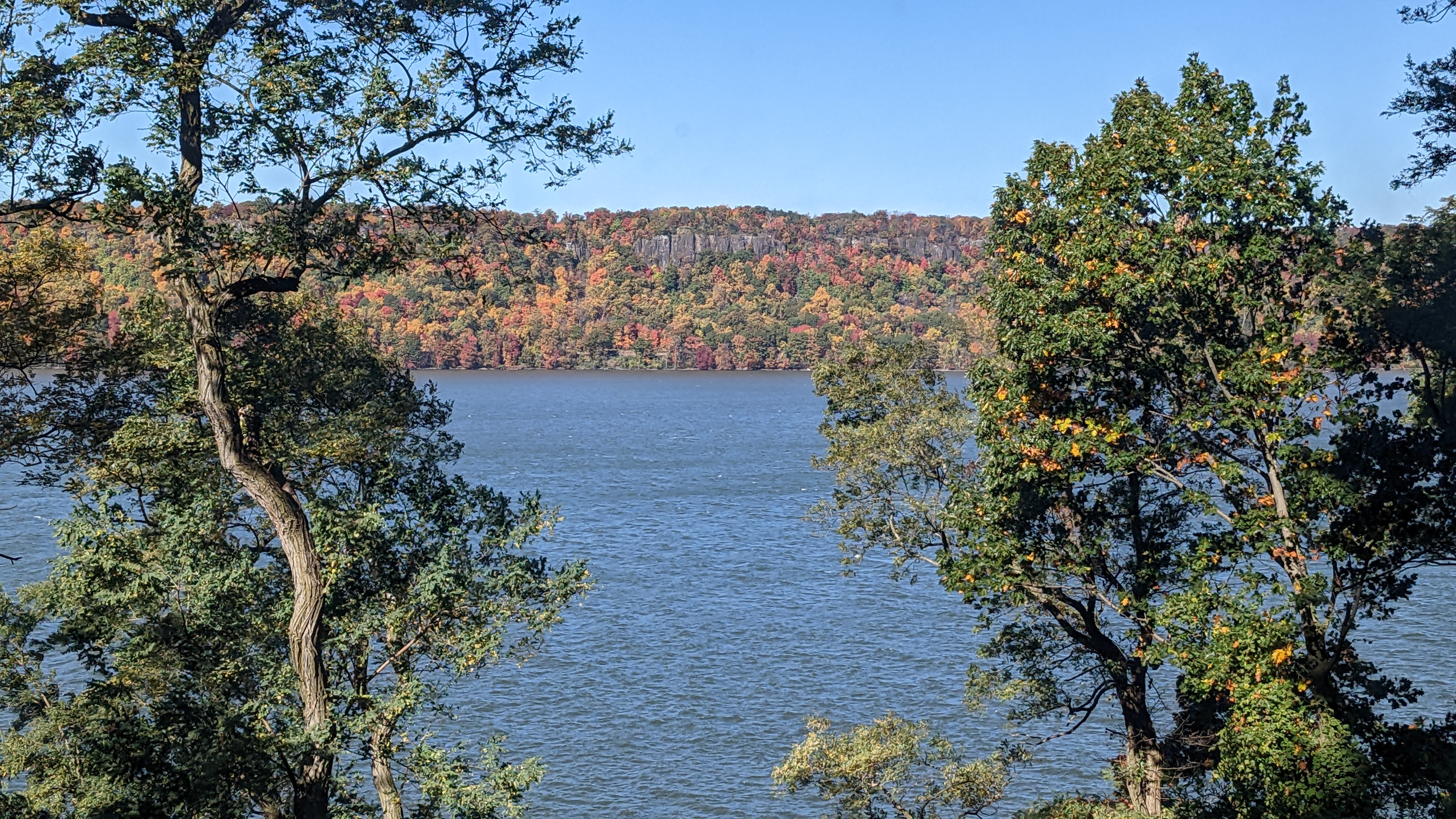 2727 Palisade Avenue, Unit 3H Bronx, NY 10463 - Photo 14 of 18 a view of a yard with plants and large trees