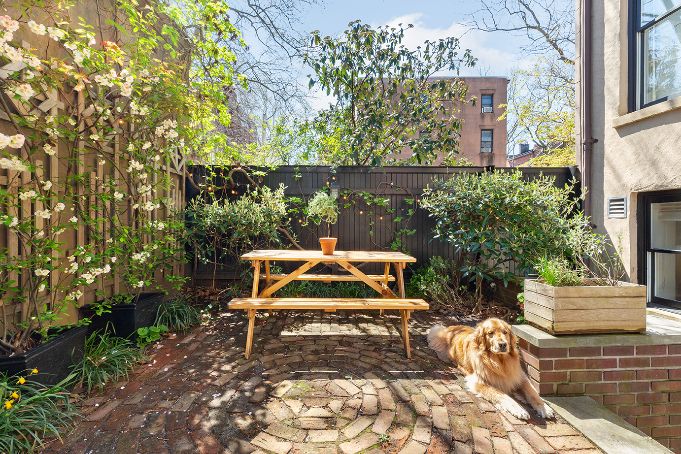 299 Clinton Street Brooklyn, NY 11201 - Photo 28 of 30