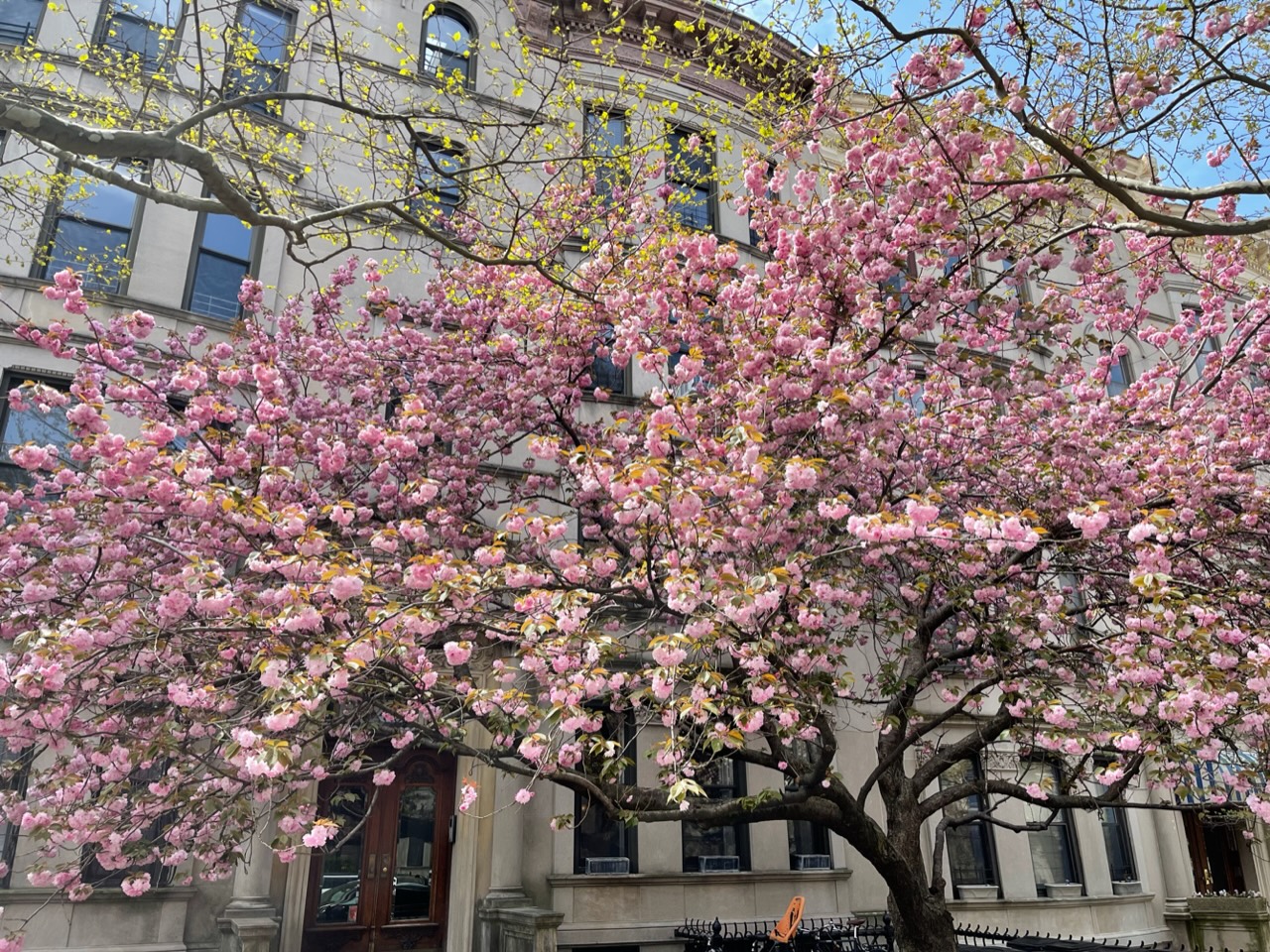 478 3rd Street, Unit 4R Brooklyn, NY 11215 - Photo 17 of 18